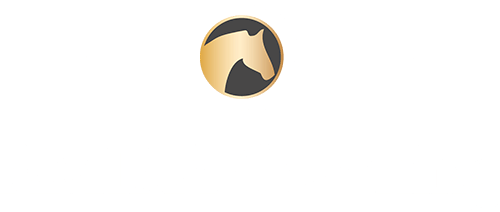 Amika Coaching Logo - weiß 500px