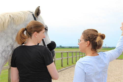 Amika - Pferdegestützes Coaching